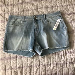 Time & Tru Light Blue Mid-Rise Shorts Size 16 NWT